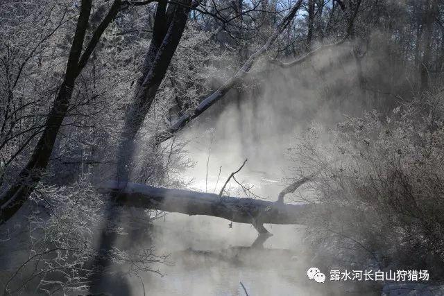 幸运的 翻译游戏画面