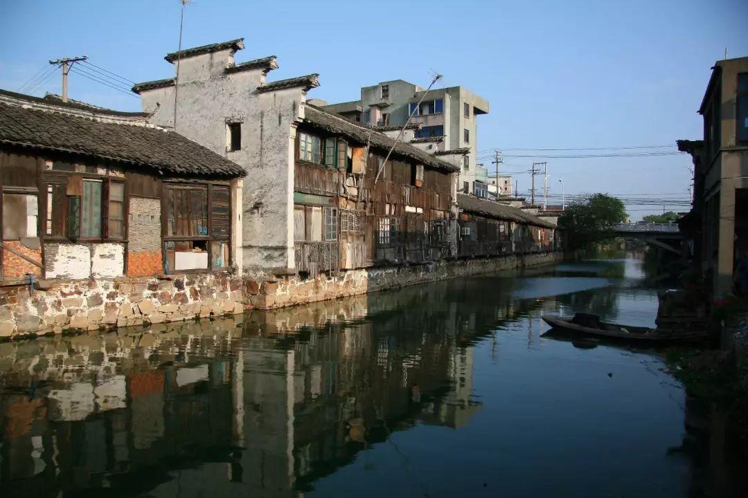 枝叶关情丨党建引领“破茧”小区难题